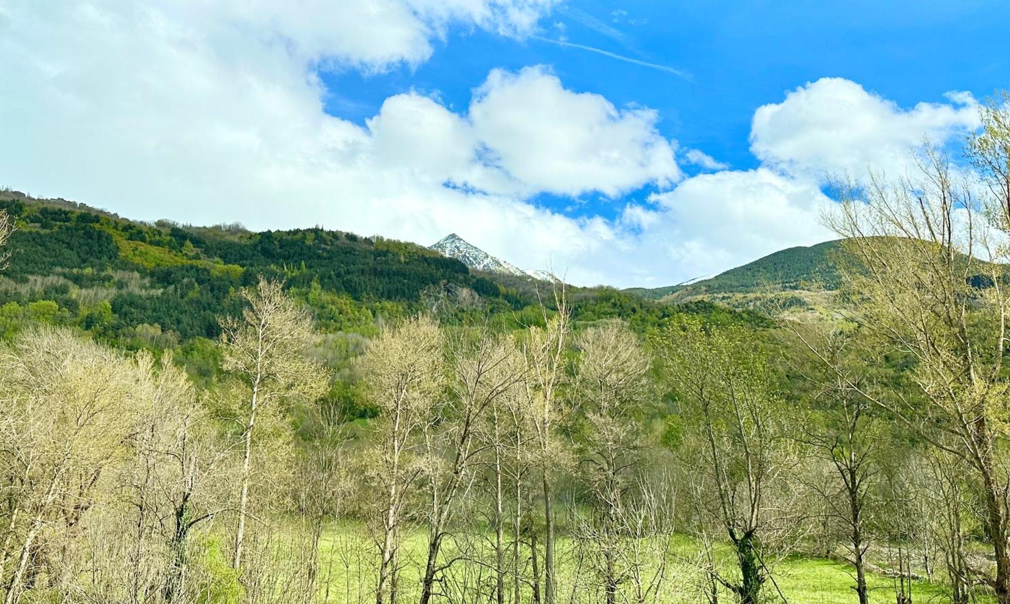 Bpirineos-Besurta Lägenhet Benasque Exteriör bild